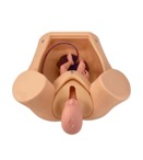 Advanced childbirth comprehensive skill training model